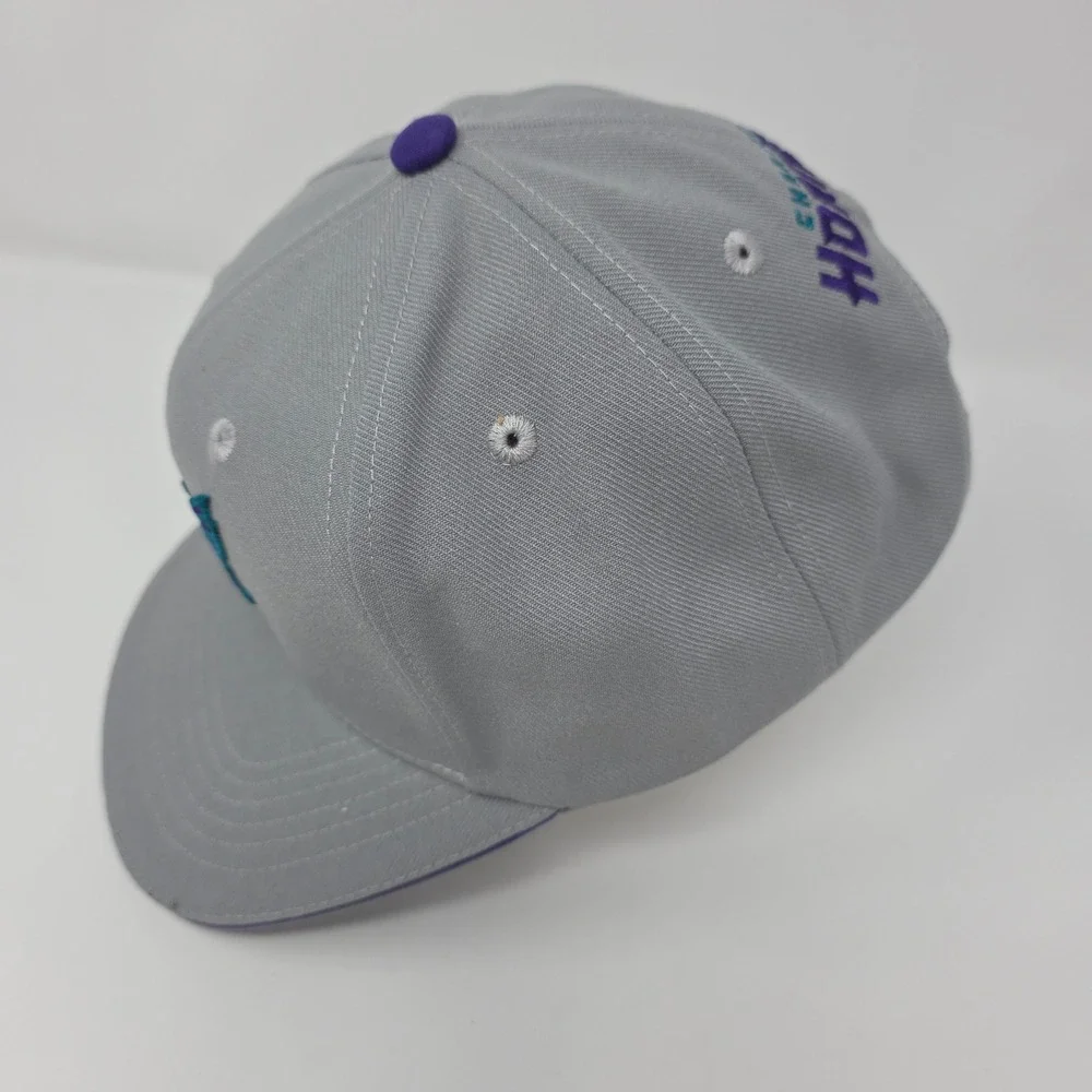 NBA Charlotte Hornets Snapback Hat OSFM Basketball Gray Polyester Flat Brim Hat